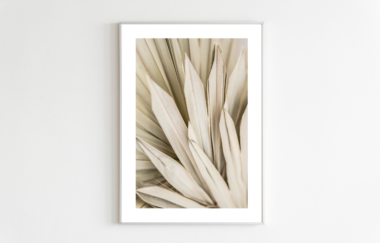 botanical poster