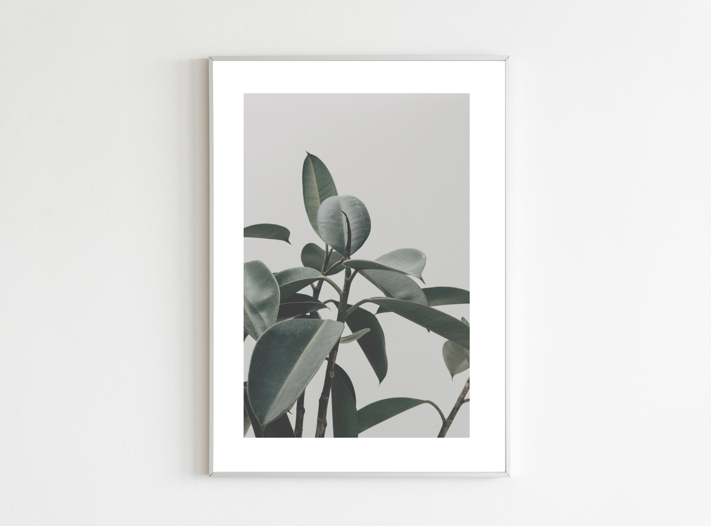 leaf khaki poster