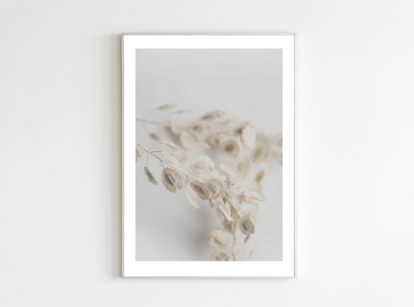 Lunaria floral poster
