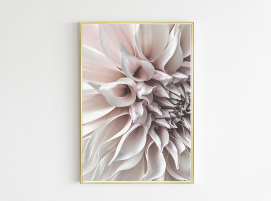 Pink Large Flower Floral Wall Art Poster