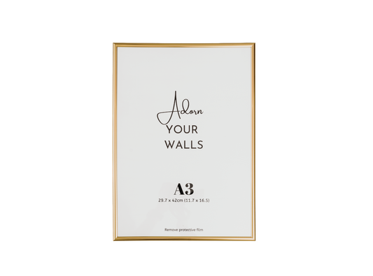 gold poster frame modern