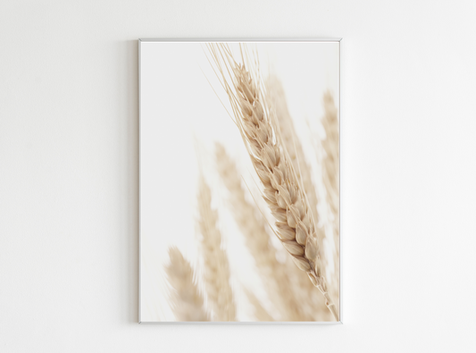 pampas poster